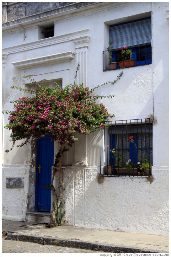 Calle de San Jos?Barrio Hist?o (Old Town).