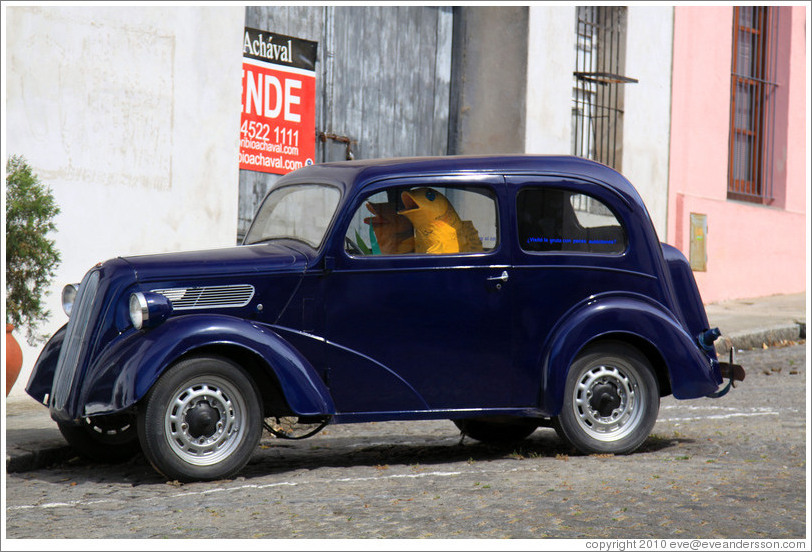 Car containing two large, yellow fish.  Calle del Virrey Cevallos, Barrio Hist?o (Old Town).