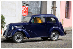 Car containing two large, yellow fish.  Calle del Virrey Cevallos, Barrio Hist?o (Old Town).