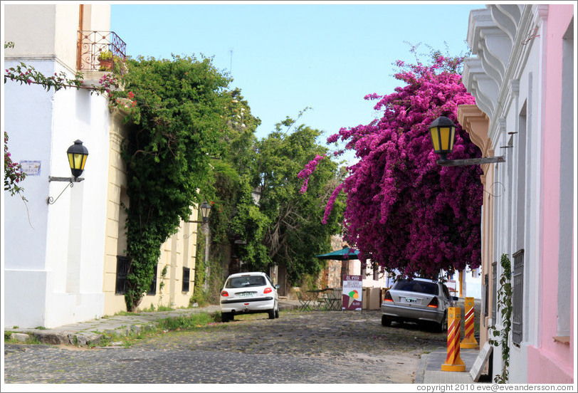 Calle Real, Barrio Hist?o (Old Town).