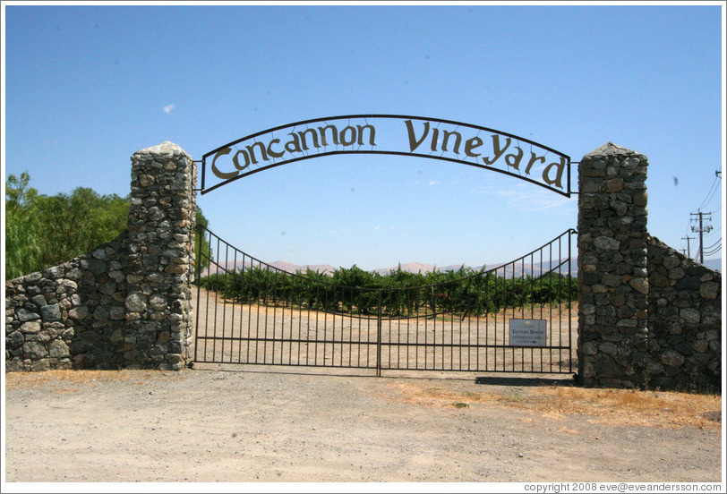 Concannon Vineyard.