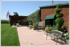 Tasting room.  Concannon Vineyard.