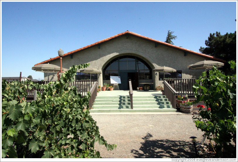 Tasting room.  Crooked Vine Winery.