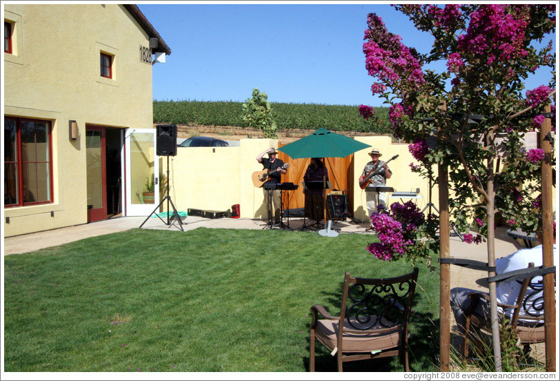 Band performing in garden.  Deer Ridge Vineyards.