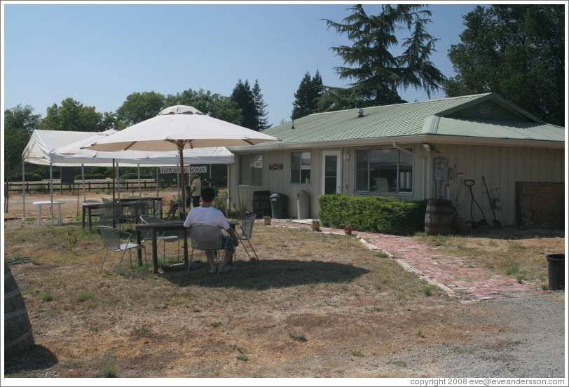 Tasting room.  Eckert Estate Winery.