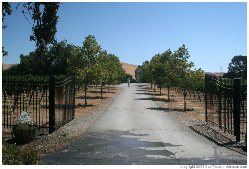 Entrance.  Les Ch&ecirc;nes Estate Vineyards.