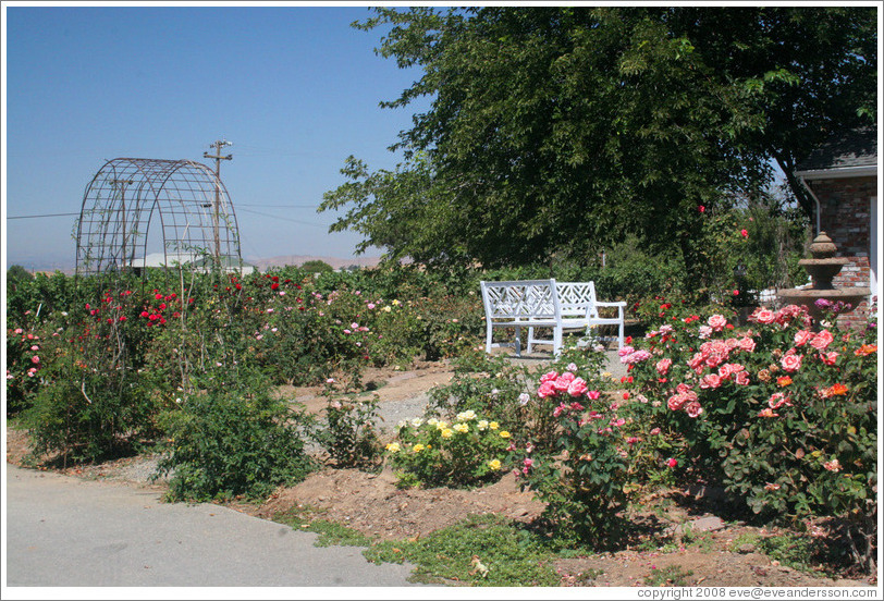 Garden.  Les Ch&ecirc;nes Estate Vineyards.