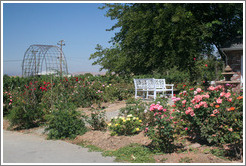 Garden.  Les Ch&ecirc;nes Estate Vineyards.