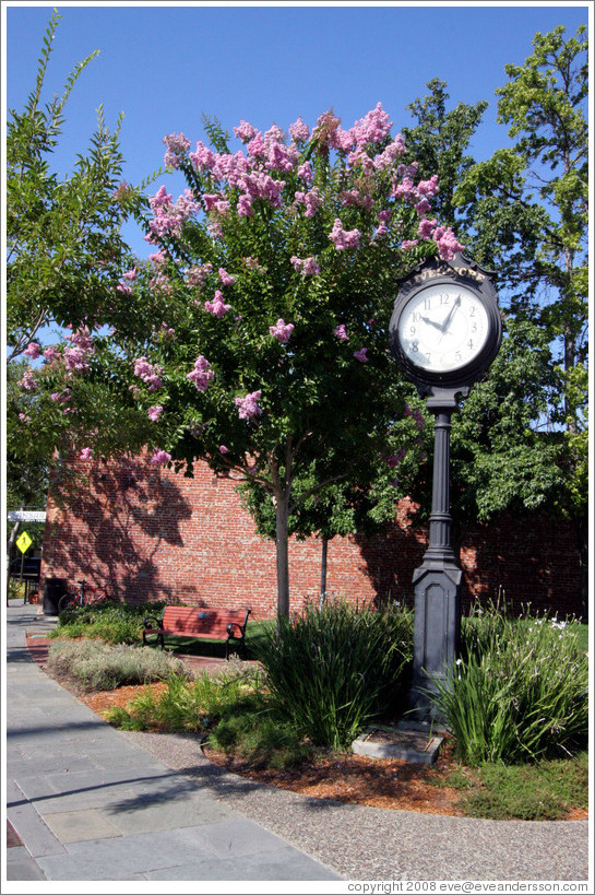 Clock.  Downtown Livermore.