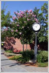 Clock.  Downtown Livermore.