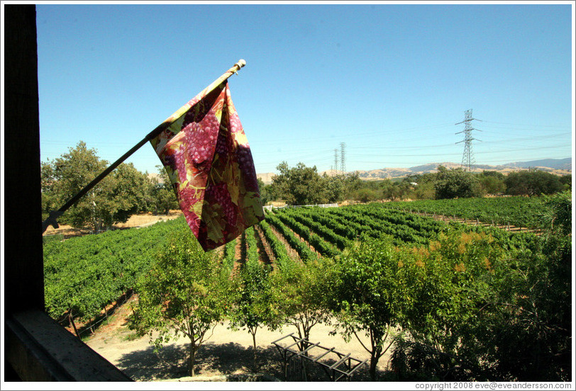 Flag on balcony overlooking vineyard.  Murrieta's Well.