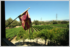 Flag on balcony overlooking vineyard.  Murrieta's Well.