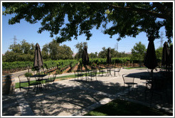 Picnic area.  Murrieta's Well.