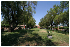 Yard.  Retzlaff Estate Winery.