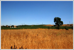 Field.  Rodrigue Molyneaux Winery.