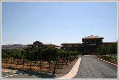 Casa Real and vineyard.  Ruby Hill Winery.