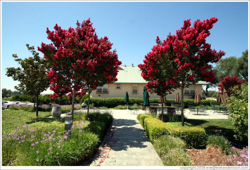 Tasting room.  The Stephen Kent Winery.