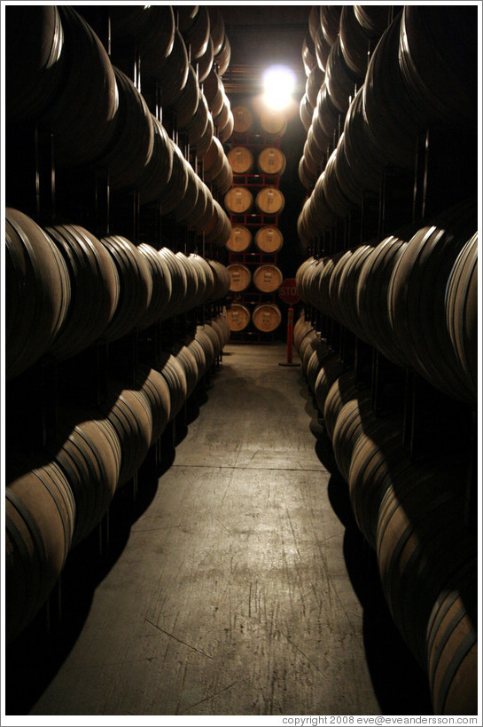 Barrels.  Wente Vineyards Estate Winery.