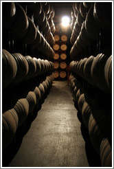 Barrels.  Wente Vineyards Estate Winery.