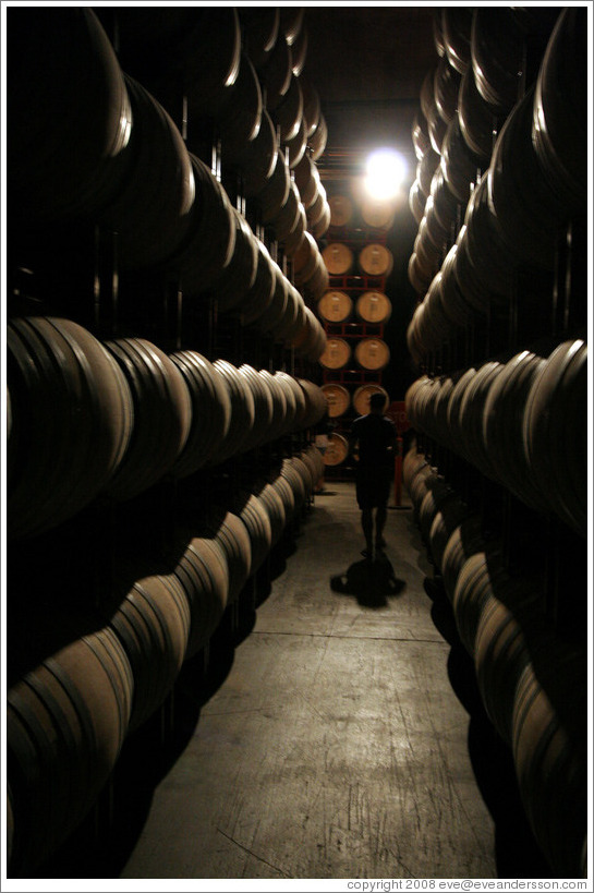 Man among barrels.  Wente Vineyards Estate Winery.
