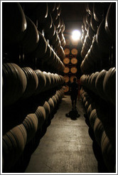 Man among barrels.  Wente Vineyards Estate Winery.