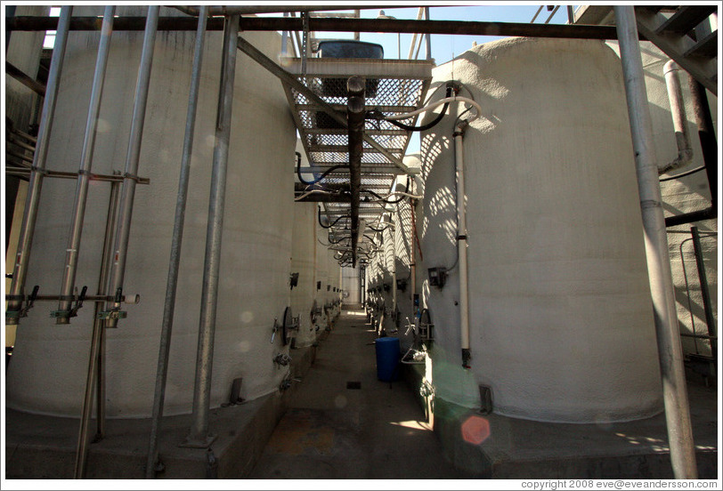 Insulated fermentation tanks.  Wente Vineyards Estate Winery.