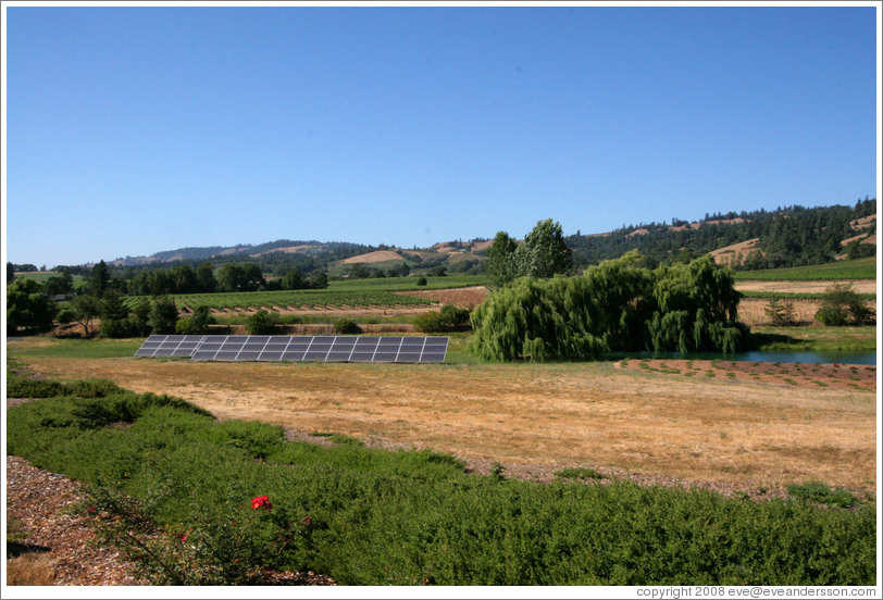 Greenwood Ridge Vineyards.