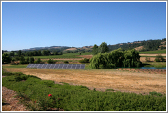 Greenwood Ridge Vineyards.