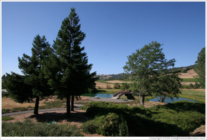 Pond and bridge.  Greenwood Ridge Vineyards.