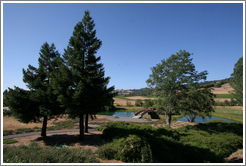 Pond and bridge.  Greenwood Ridge Vineyards.