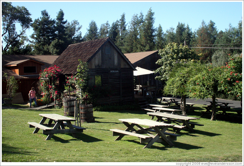 Tasting room and picnic tables.  Husch Vineyards.