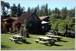 Tasting room and picnic tables.  Husch Vineyards.