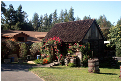 Tasting room.  Husch Vineyards.