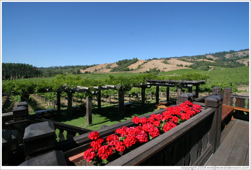 Deck and picnic area.  Navarro Vineyards.