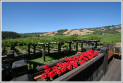 Deck and picnic area.  Navarro Vineyards.