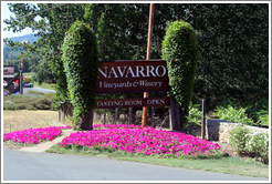 Navarro Vineyards.