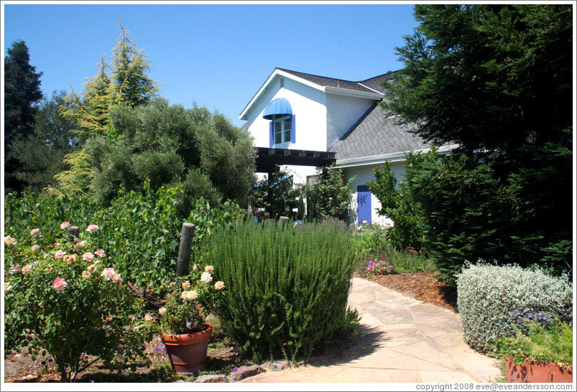 Benessere Vineyards.