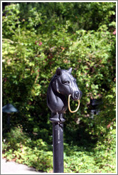 Horse hitching post.  Chateau Montelena.