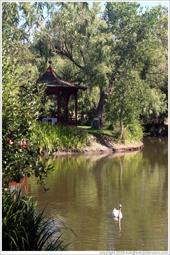 Jade Lake with swan. Chateau Montelena.