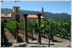 Vineyards and columns.  Clos Pegase Winery.