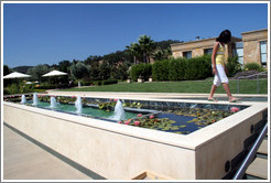 Girl balancing on a fountain with lily pads.  Darioush Winery.