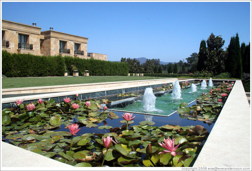 Fountain with lily pads.  Darioush Winery.