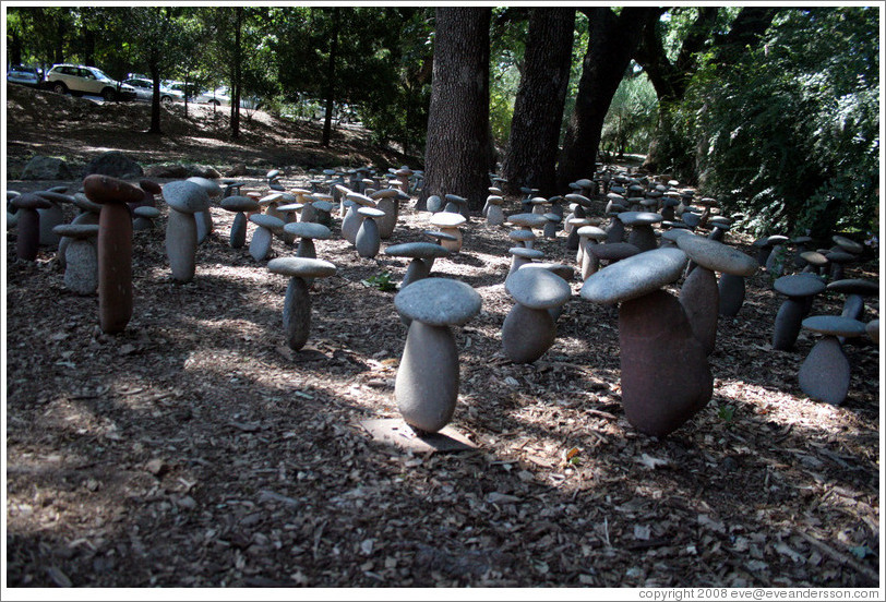 Mushroom-like rock garden.  Domaine Chandon Winery.