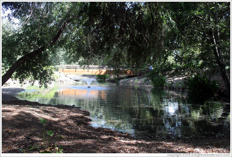 Pond.  Domaine Chandon Winery.