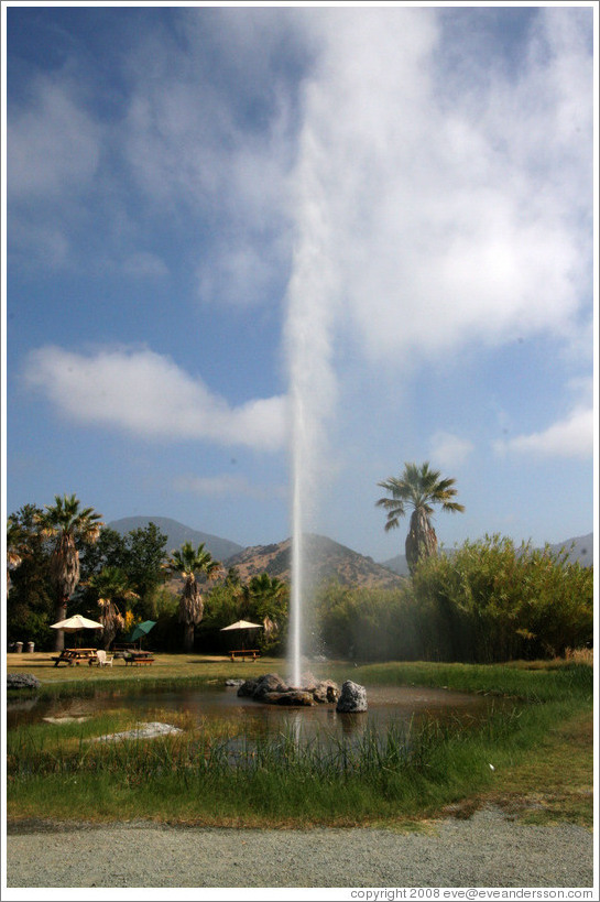 Old Faithful Geyser of California.