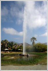Old Faithful Geyser of California.