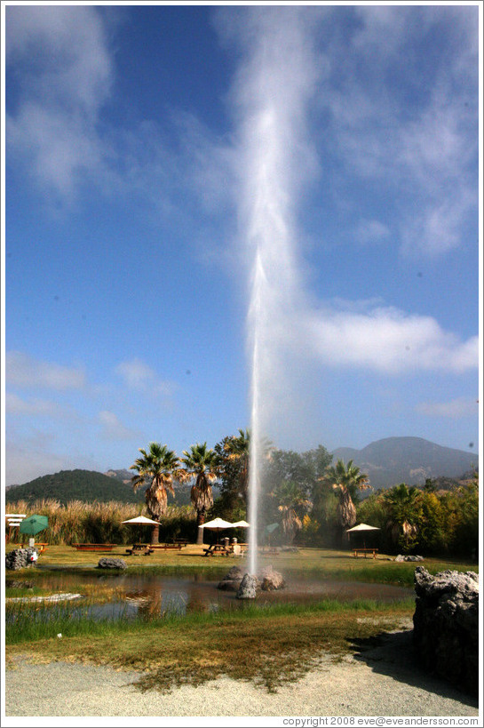 Old Faithful Geyser of California.