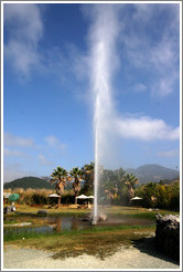 Old Faithful Geyser of California.