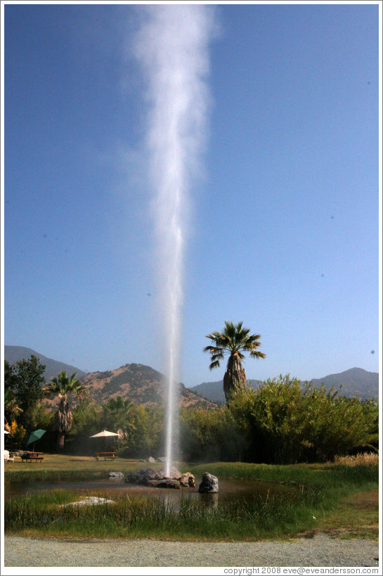 Old Faithful Geyser of California.