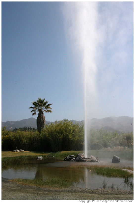 Old Faithful Geyser of California.